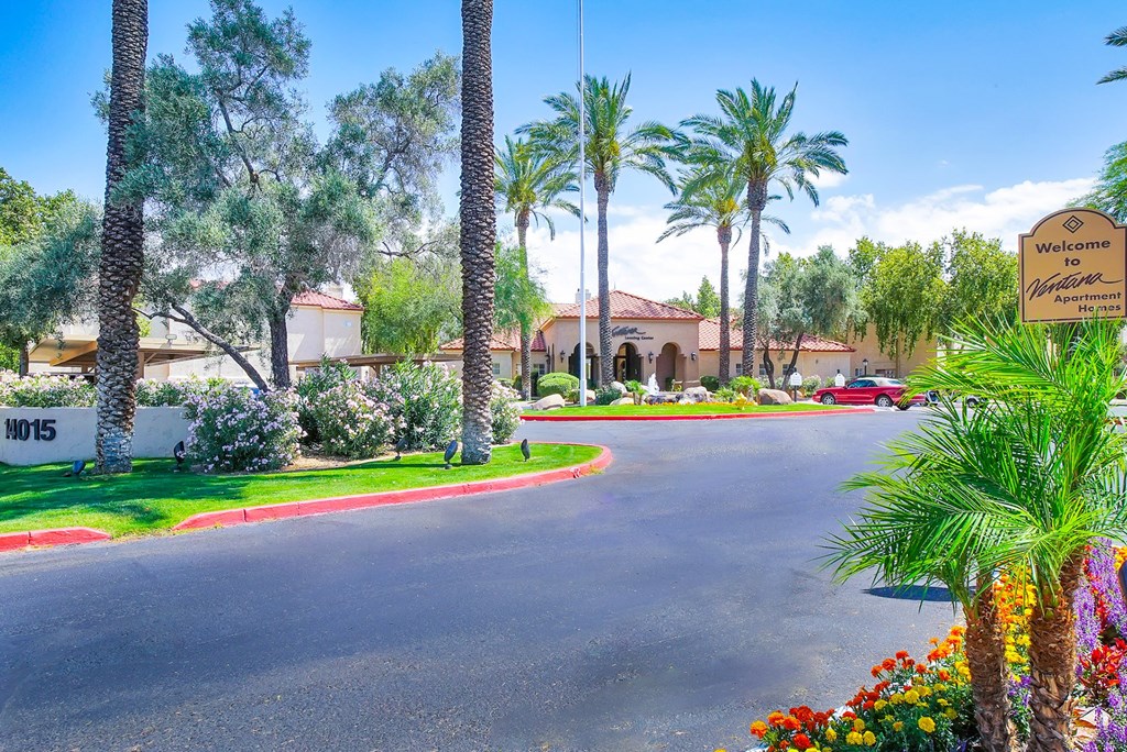 A street view of community with palm trees at Ventana, Scottsdale, 85260