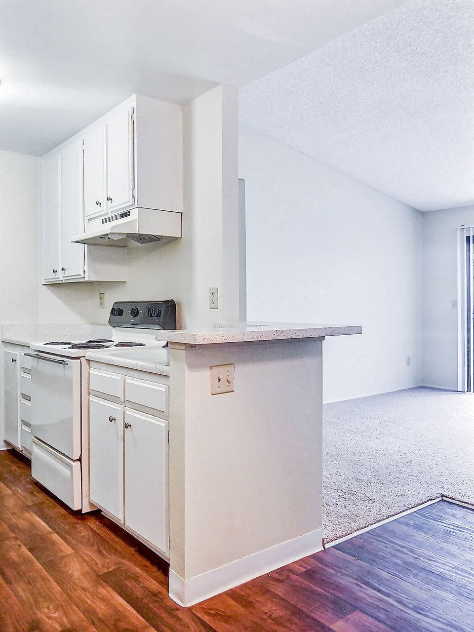 Village Park Apartments Kitchen and Living Room Encinitas California