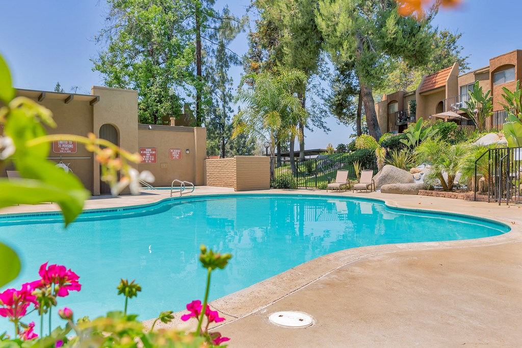 Outdoor swimming pool with pink flowers beside it at Woodlake, Escondido, CA, 92027