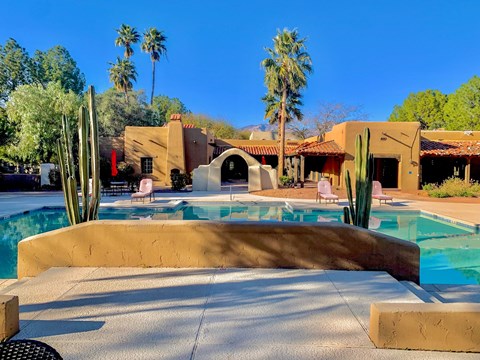 a swimming pool with a cactus in front of a house