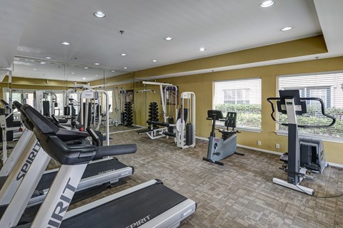 A gym with treadmills, weights, and exercise machines.