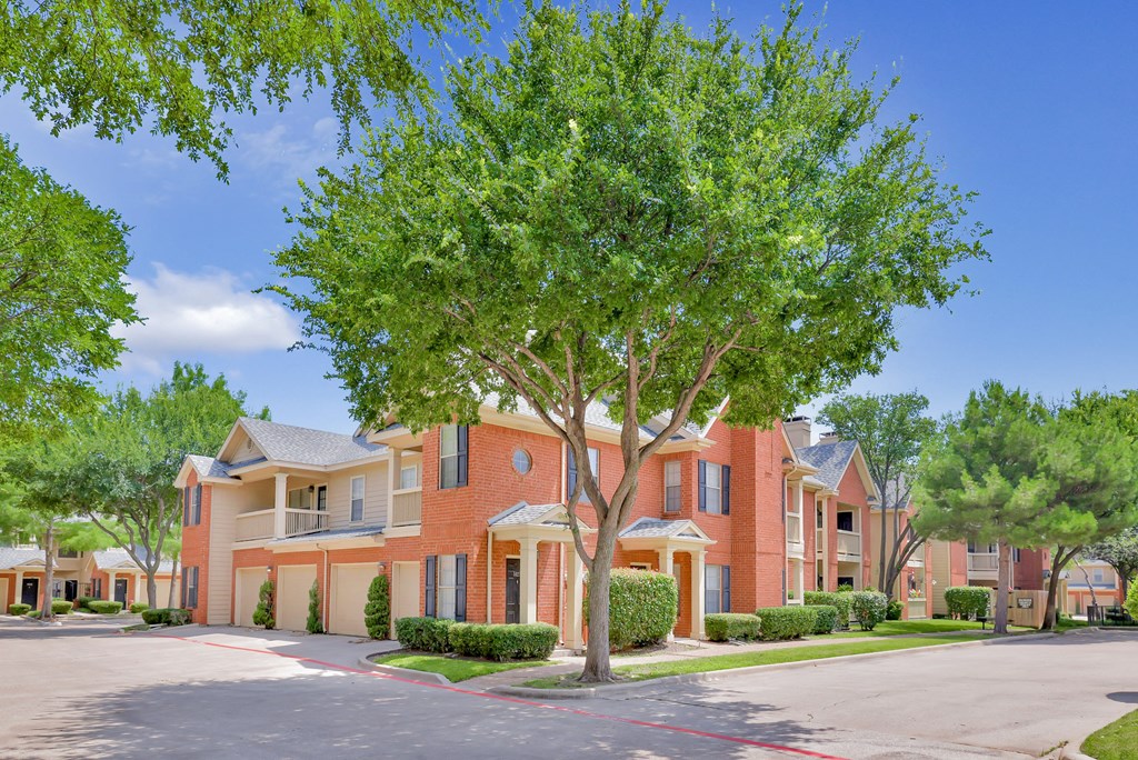 Outdoor area with a huge tree at SaddleBrook Apartments, Dallas