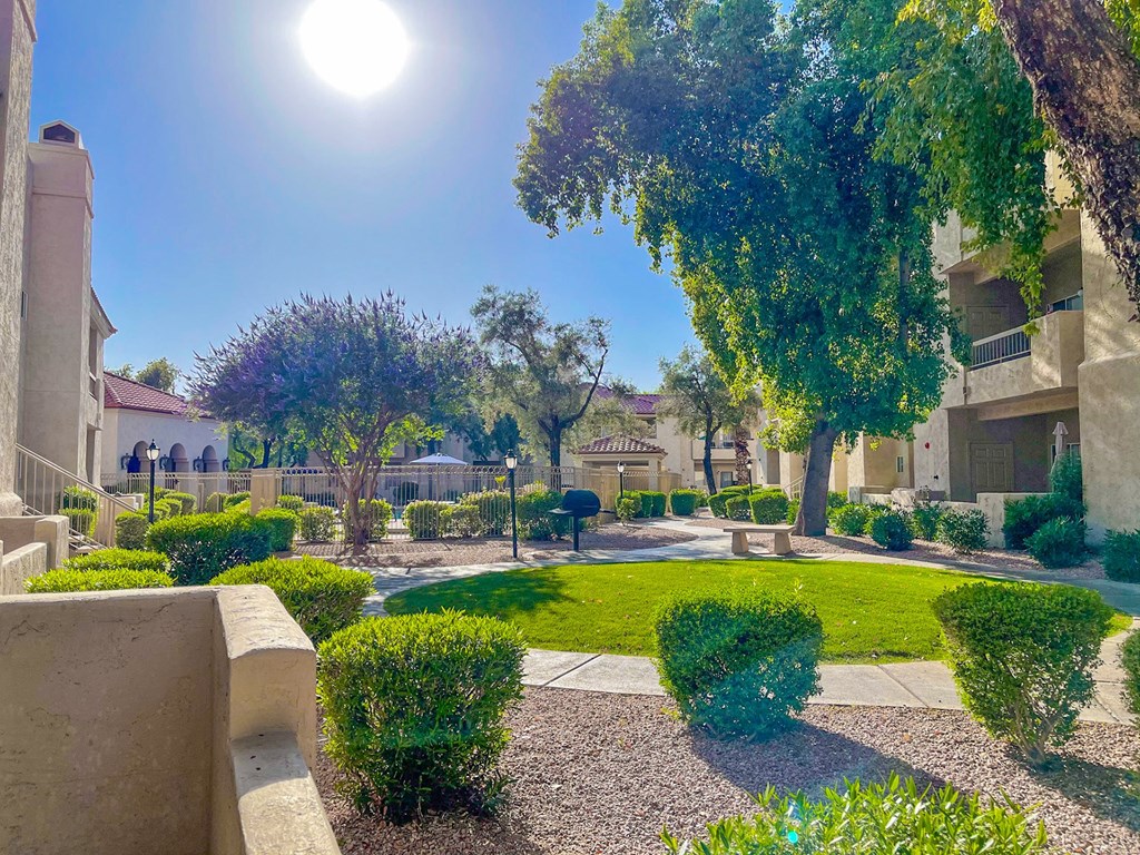 A sunny day in a well-maintained garden with a clear blue sky. at Ventana, Scottsdale