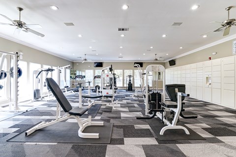 A gym with a variety of equipment including treadmills, weights, and exercise machines.