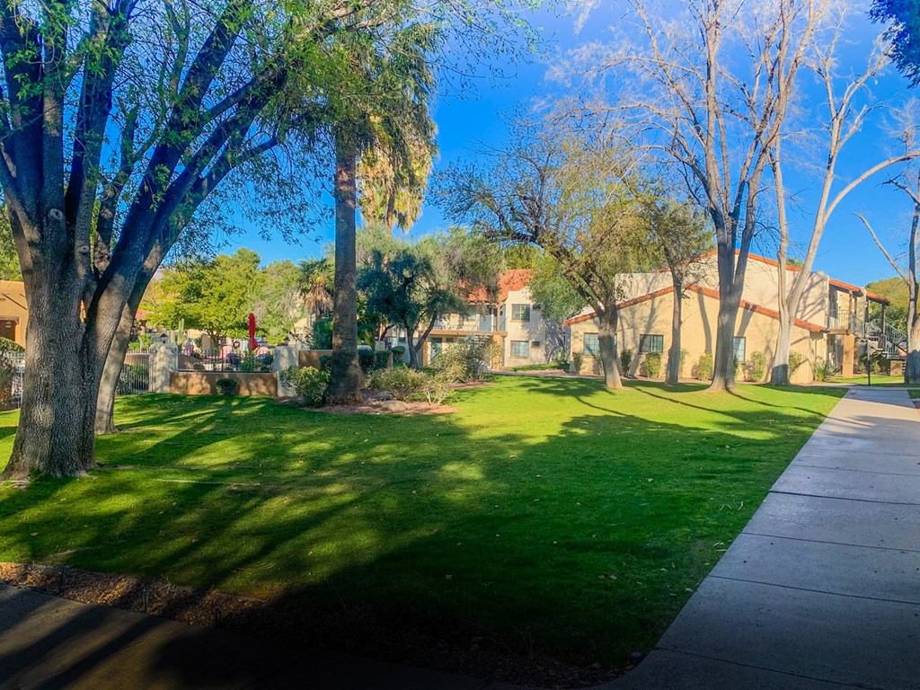 Comm,unity filled with lush landscaping and mature trees at Pavilions at Pantano Apartments in Tucson, AZ!