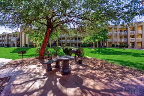 A large tree in a courtyard with a bench and a table.
