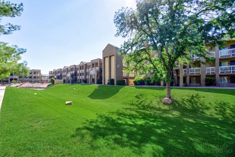 A tree stands in a grassy area in front of a building.