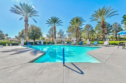 our resort style swimming pool is surrounded by chairs and palm trees