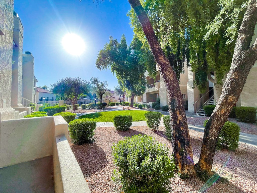 A sunny day in a well-maintained garden with trees and bushes. at Ventana, Scottsdale, Arizona