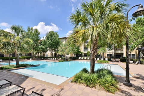 A pool surrounded by palm trees and plants.
