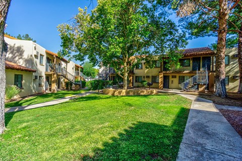 A row of houses with green lawns and trees in front.