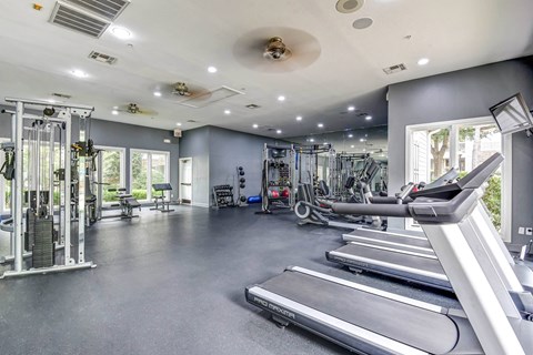 A spacious gym with treadmills, weights, and other exercise equipment.
