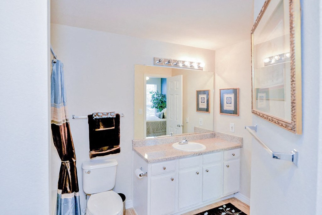 a bathroom with a sink toilet and a mirror