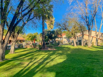 Green-filled courtyards throughout the community at La Hacienda Apartments in Tucson, AZ! - Photo Gallery 2