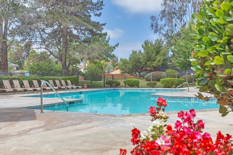 A pool surrounded by trees and chairs.