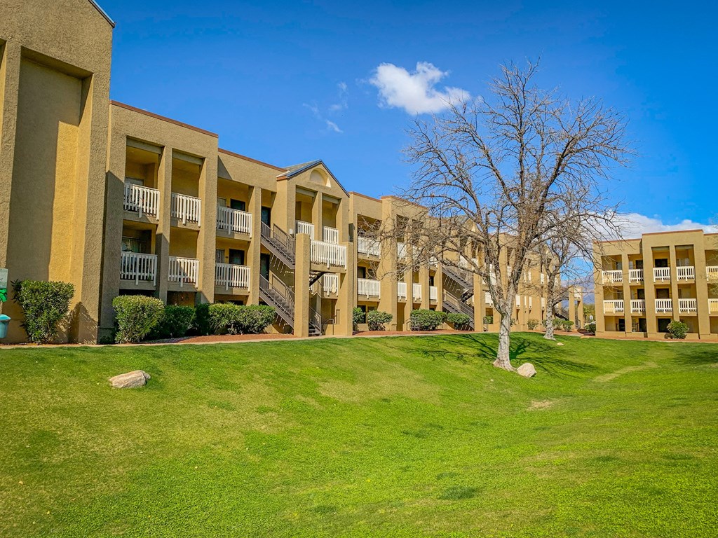 Community Exterior with green lawn and a tree at Pavilions at Pantano Apartments, Tucson, Arizona
