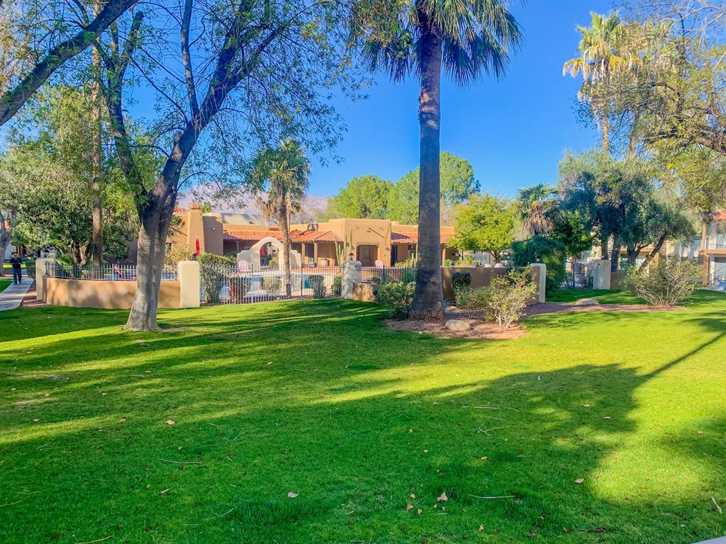 Community filled with lush landscaping and mature trees at Pavilions at Pantano Apartments in Tucson, AZ!