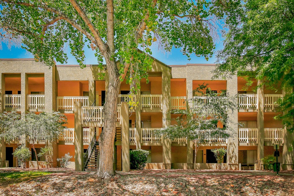 Mature trees at Pavilions at Pantano Apartments in Tucson, AZ!