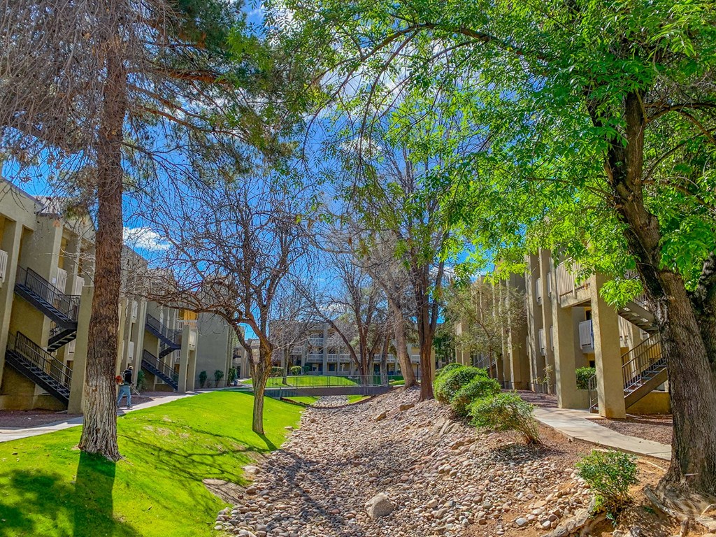 Courtyard with trees and buildings at Pavilions at Pantano Apartments, Tucson