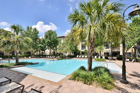 A pool surrounded by palm trees and plants.