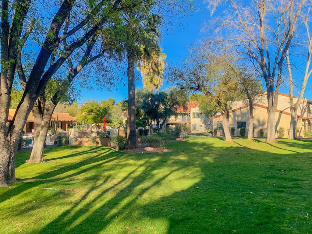 Community  filled with mature trees and lush landscaping at La Hacienda Apartment, Arizona