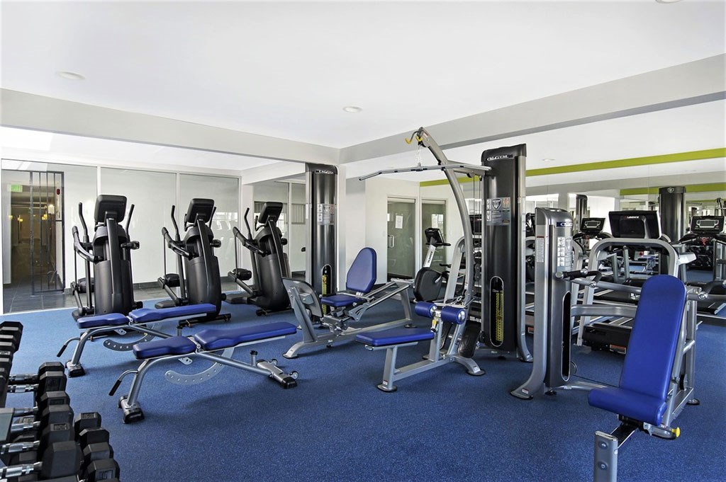 the gym is equipped with state of the art equipment