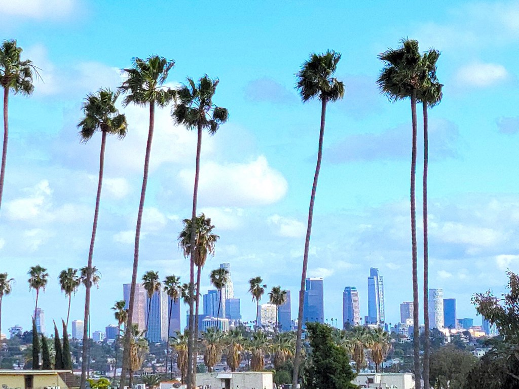 Property Surroundings With Buildings at The DRACENA Apts, Los Feliz, Los Angeles, CA, 90027