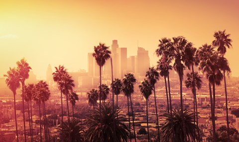 a view of the los angeles skyline with palm trees in the foreground