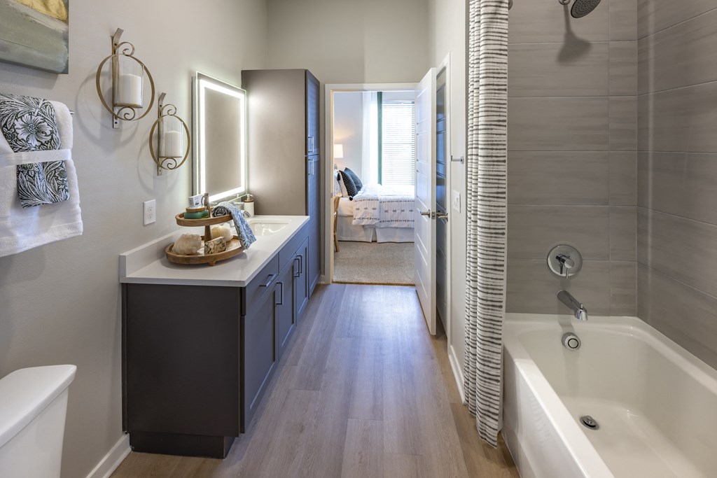 Icon at Cooley Station-apartment vanity, lighted mirror and a shower