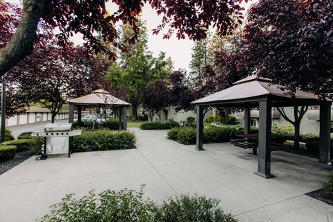 A park with a gazebo and benches surrounded by trees.