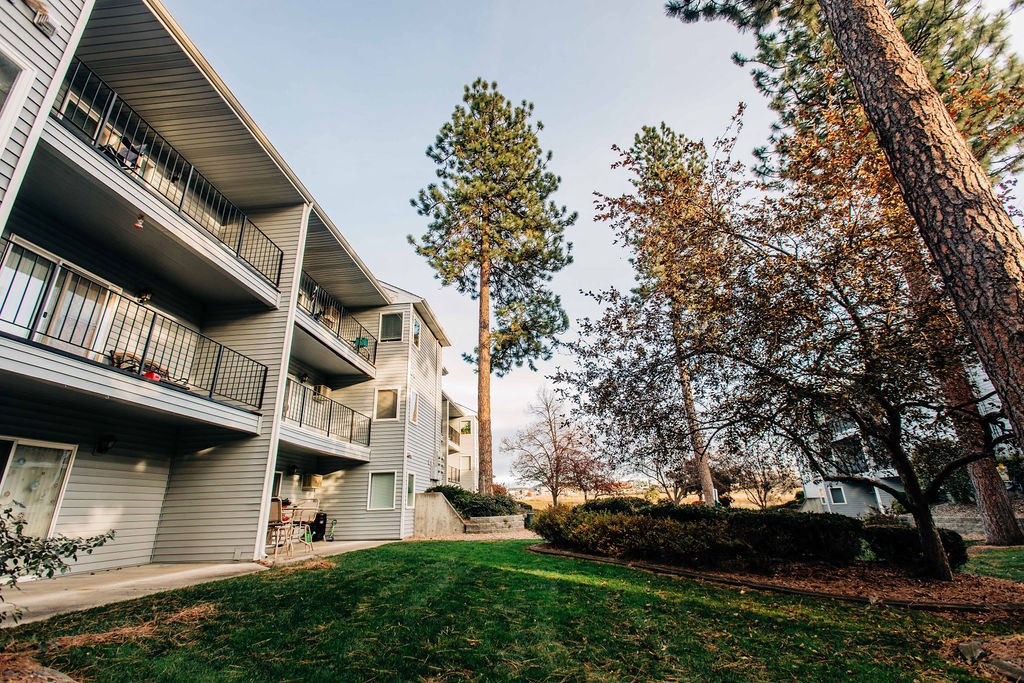 our apartments are located in a quiet neighborhood with trees and grass