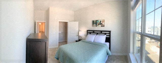 Guest bedroom with large closet