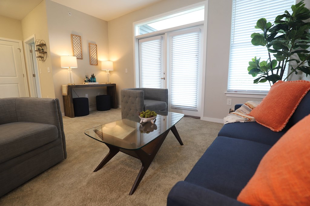 1 bedroom decorated model living room