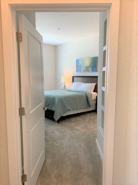 Master Bedroom with Natural Light