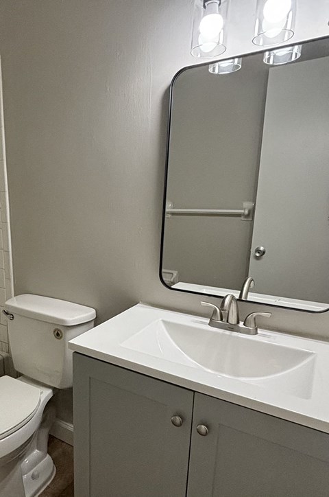 a bathroom with a sink and a mirror and a toilet