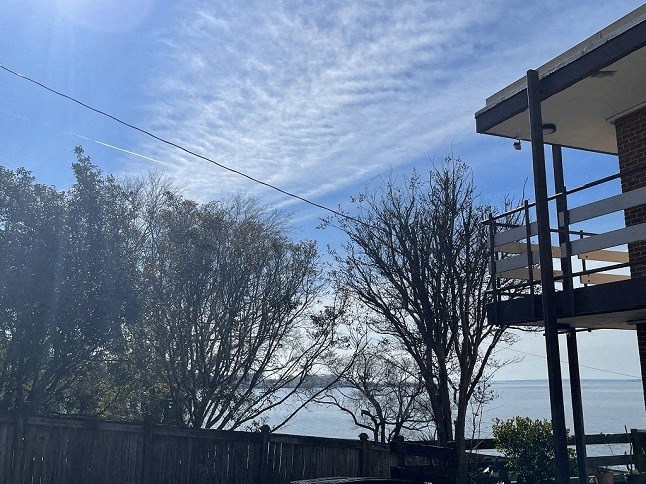 a view of the ocean from a house with trees