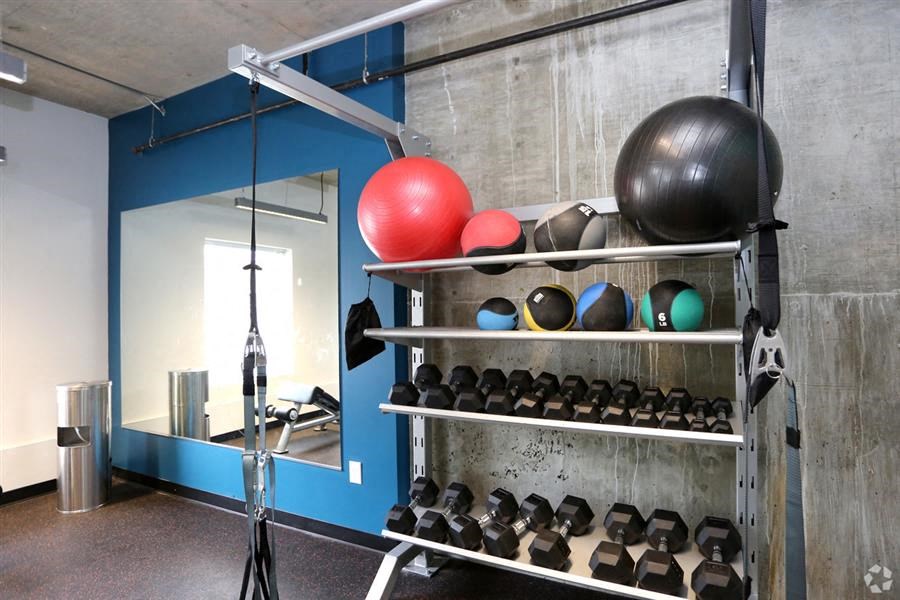 Free Weights In Gym Free Weights In Gym at Link Apartments® Canvas, Atlanta, 30312