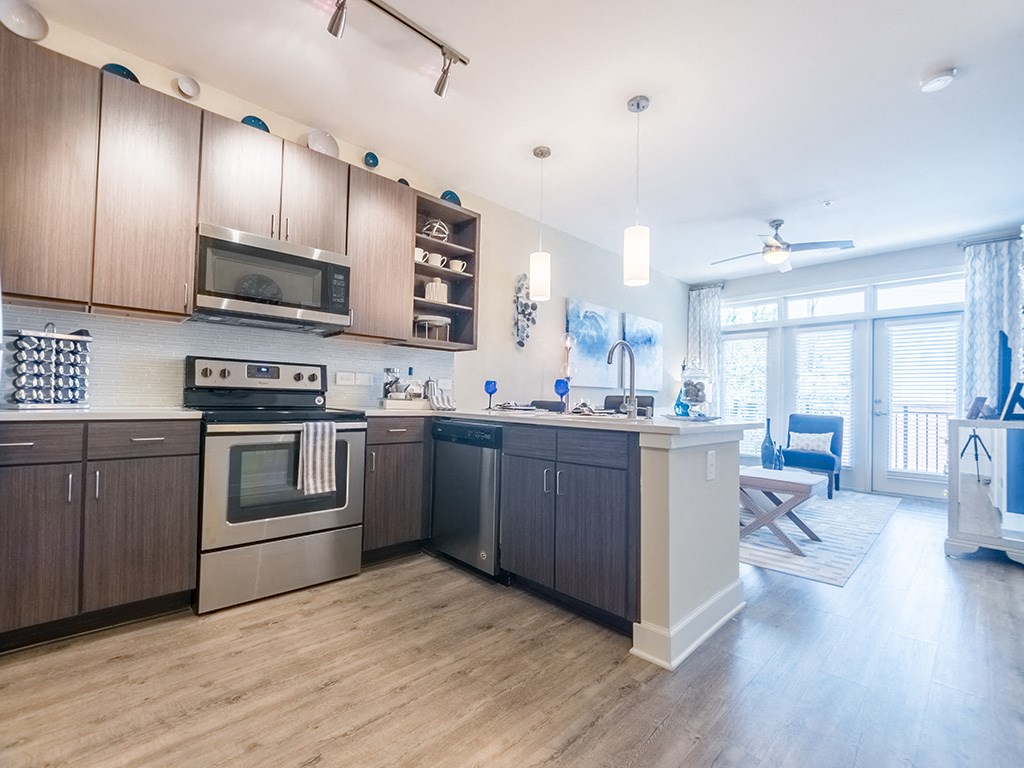 Efficient Appliances In Kitchen at Link Apartments® West End, South Carolina, 29601