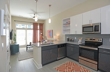 Electric Range In Kitchen at Link Apartments® Innovation Quarter, Winston Salem, North Carolina - Photo Gallery 2