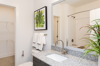 Luxurious Bathrooms at Link Apartments® Linden, North Carolina - Photo Gallery 6