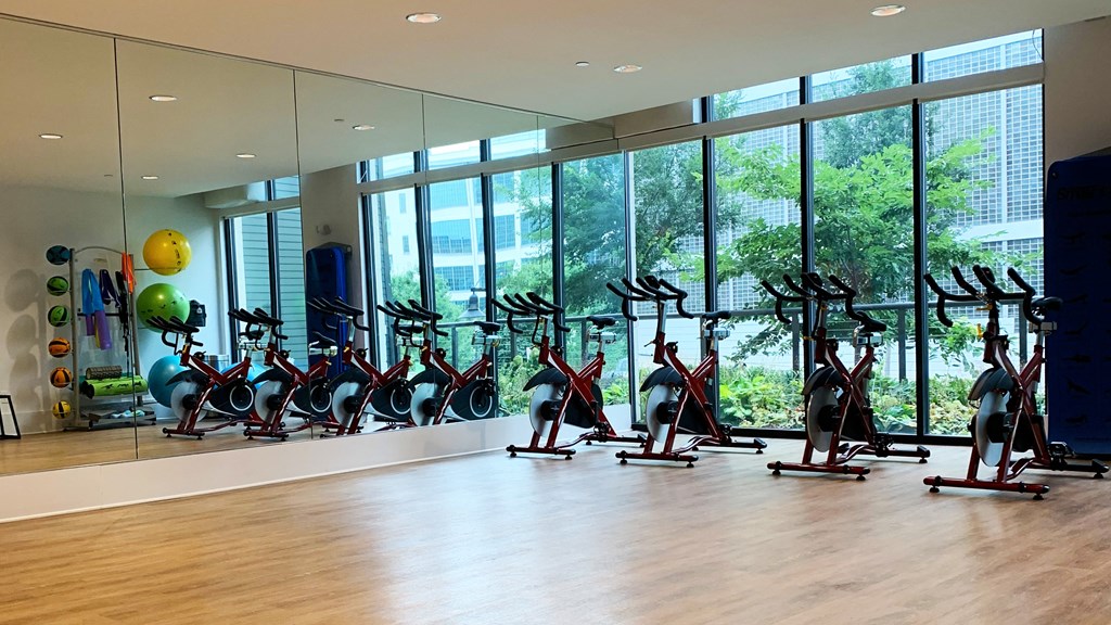 Spacious  24/7 Fitness and Yoga Center at Link Apartments Innovation Quarter, NC, 27101