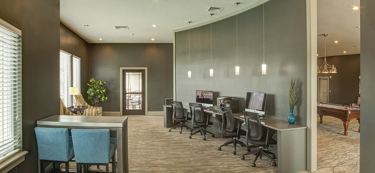 Interiors Cyber Lounge at LangTree Lake Norman Apartments, North Carolina, 28117