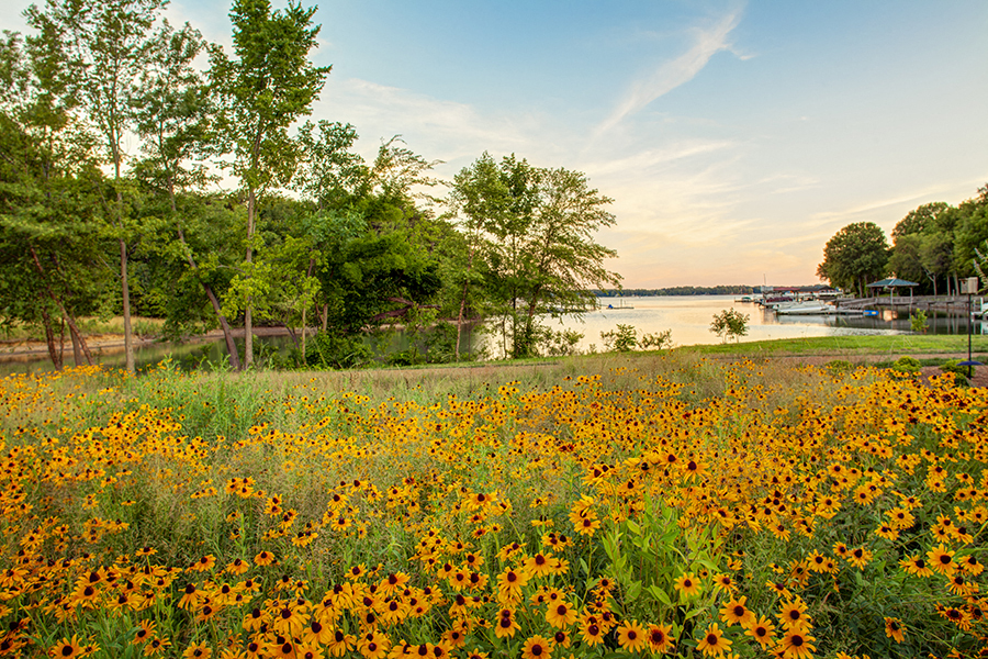 Exteriors Beautiful Luxury Lakeside Living at LangTree Lake Norman Apartments, Mooresville