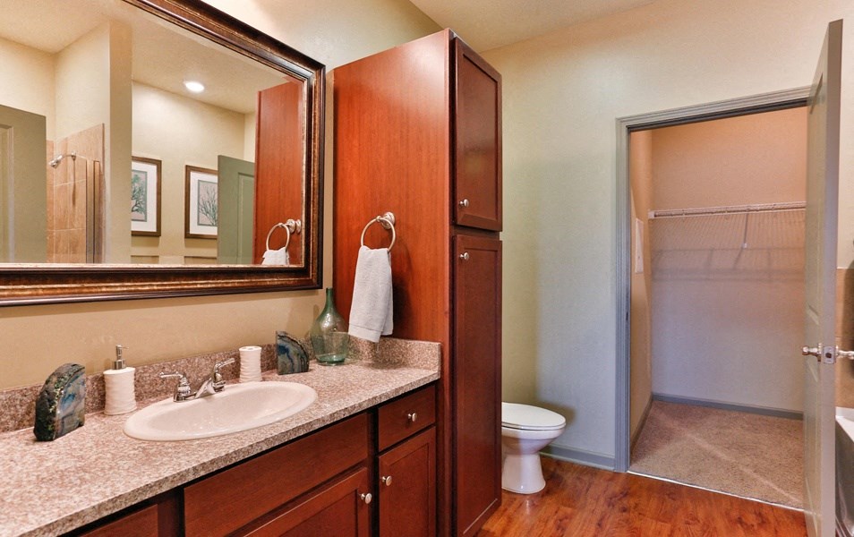 Walk in Closet at LangTree Lake Norman Apartments, Mooresville