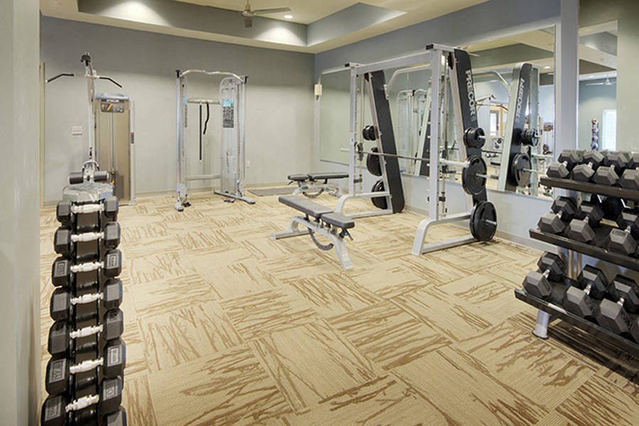 1,700 sq ft fitness center at LangTree Lake Norman Apartments, Mooresville, NC, 28117