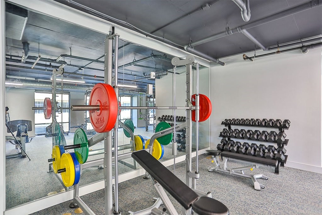 Fitness Center Strength and Conditioning Equipment at Link Apartments® Montford, Charlotte, 28209