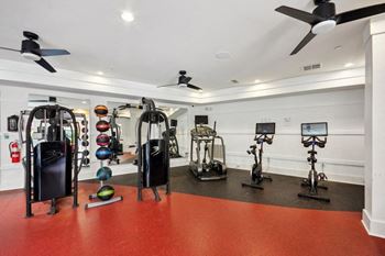 the gym is equipped with weights and cardio equipment