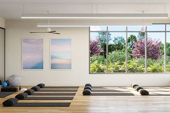 Yoga_Studio_and_TRX at Link Apartments® Linden, Chapel Hill, NC