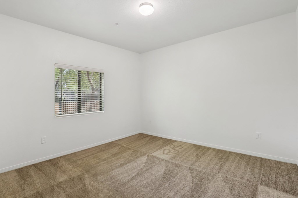 A room with a window and a carpet.