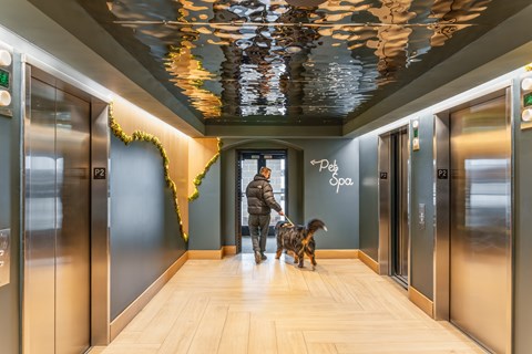 A person walking a dog in a hallway with a map of the world on the wall.